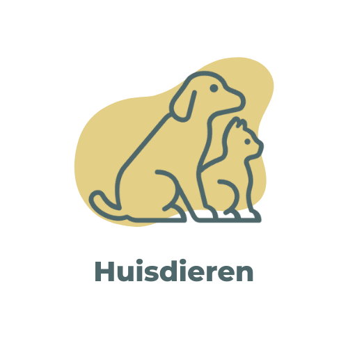 Huisdieren