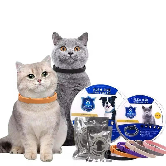 Vlooienband Kat