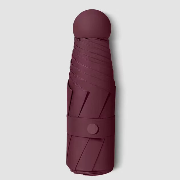 Mini Paraplu Opvouwbaar