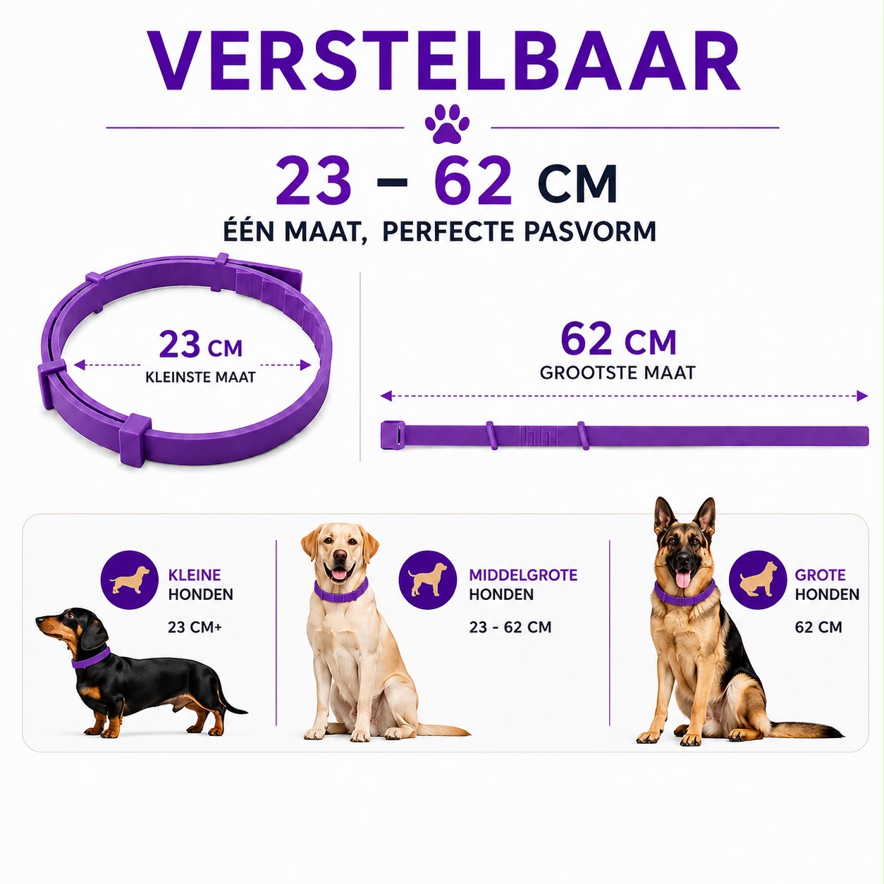 Tekenband Hond