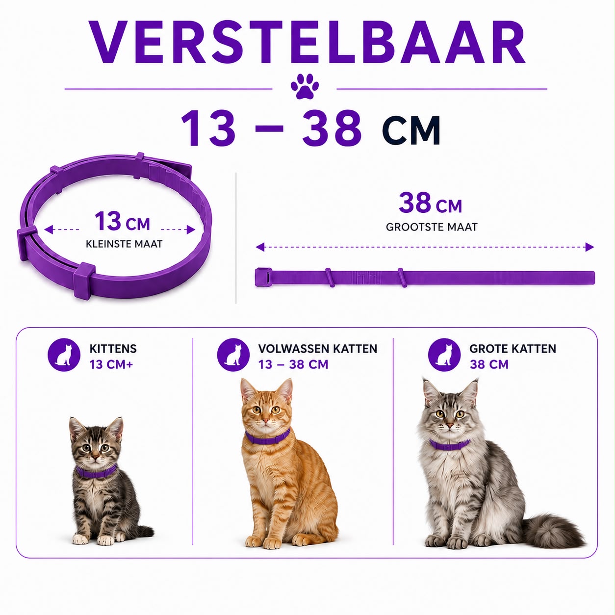 Vlooienband Kat