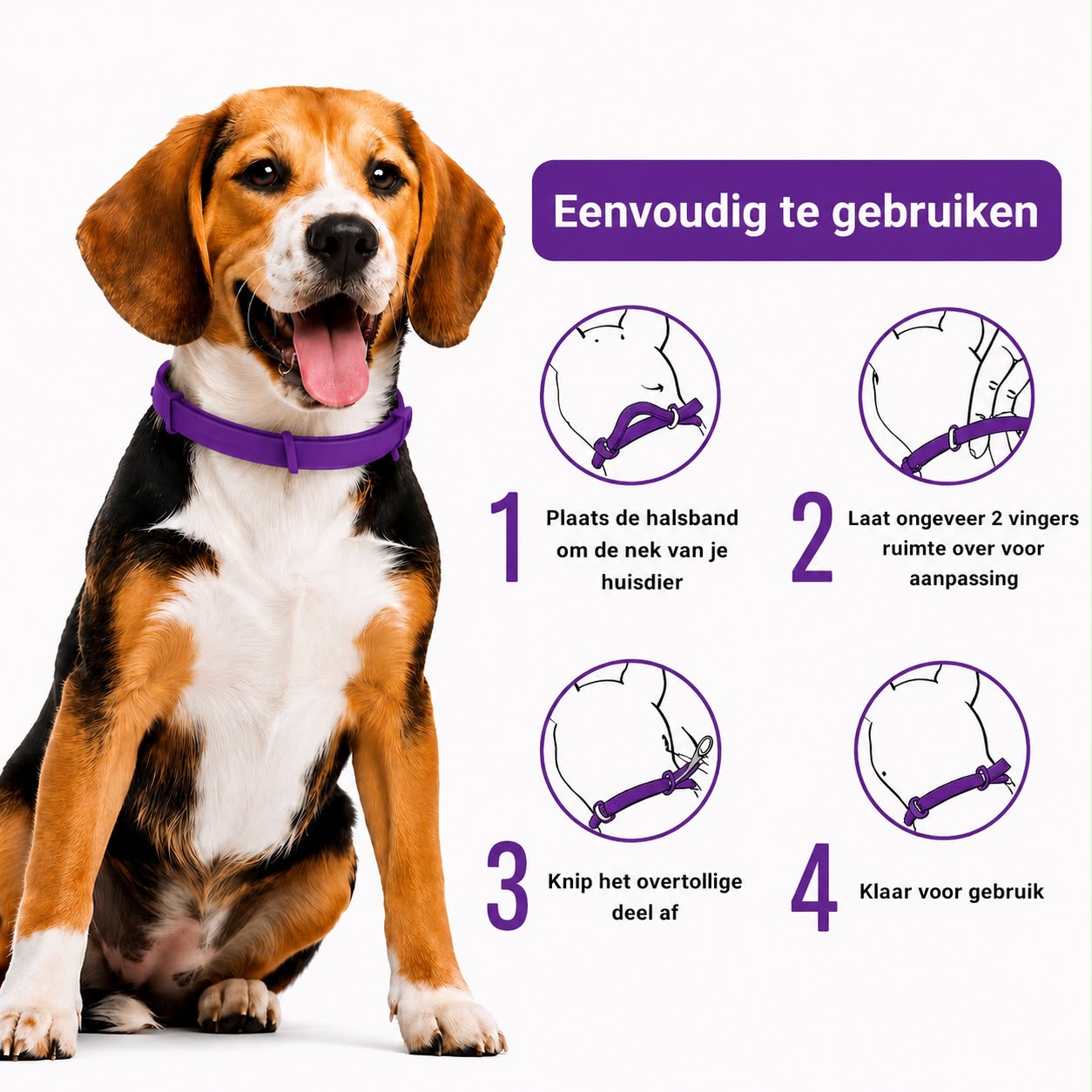Tekenband Hond