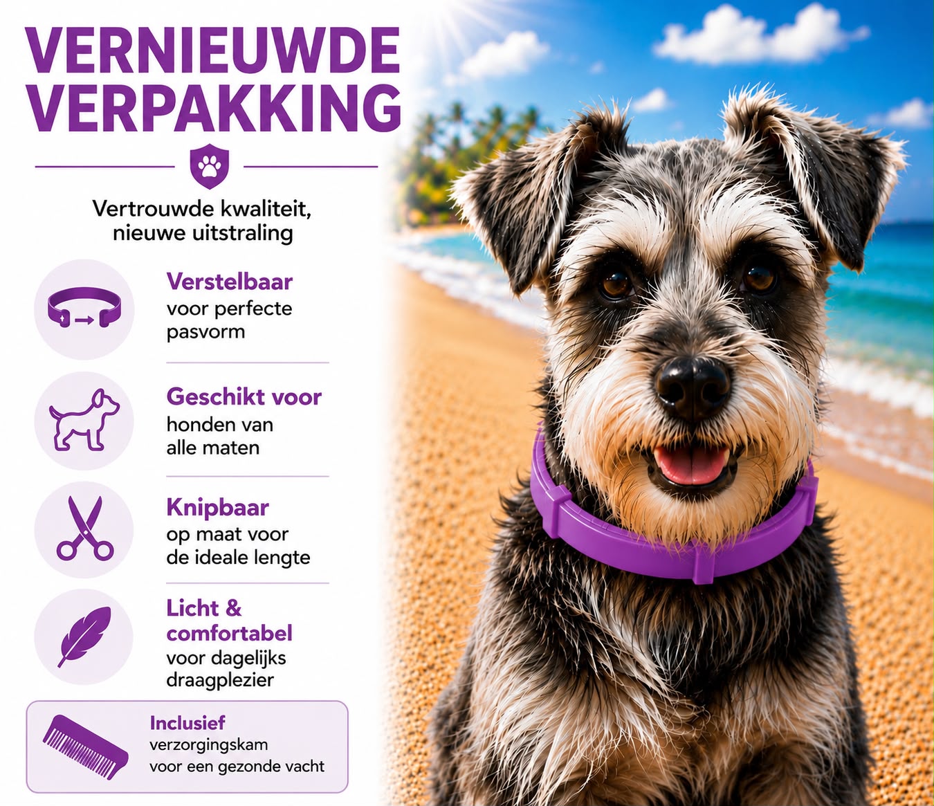 Tekenband Hond