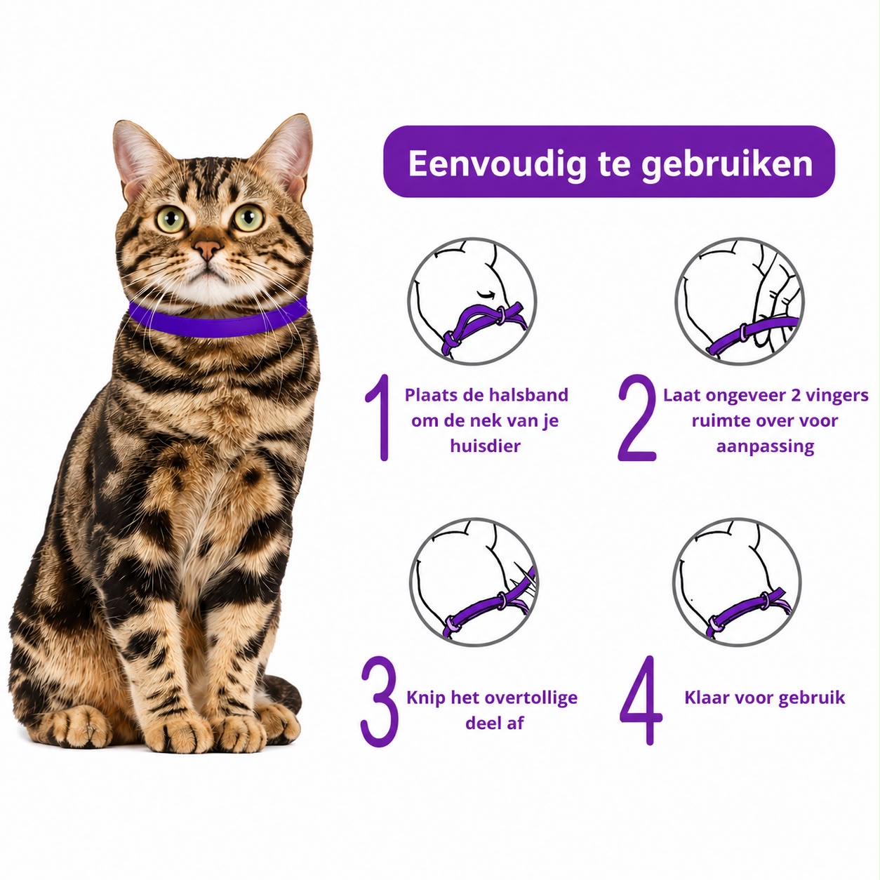 Vlooienband Kat