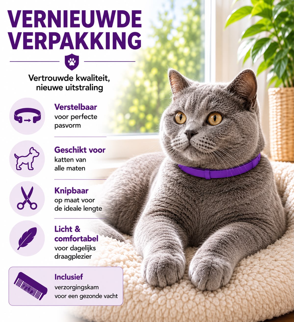 Vlooienband Kat