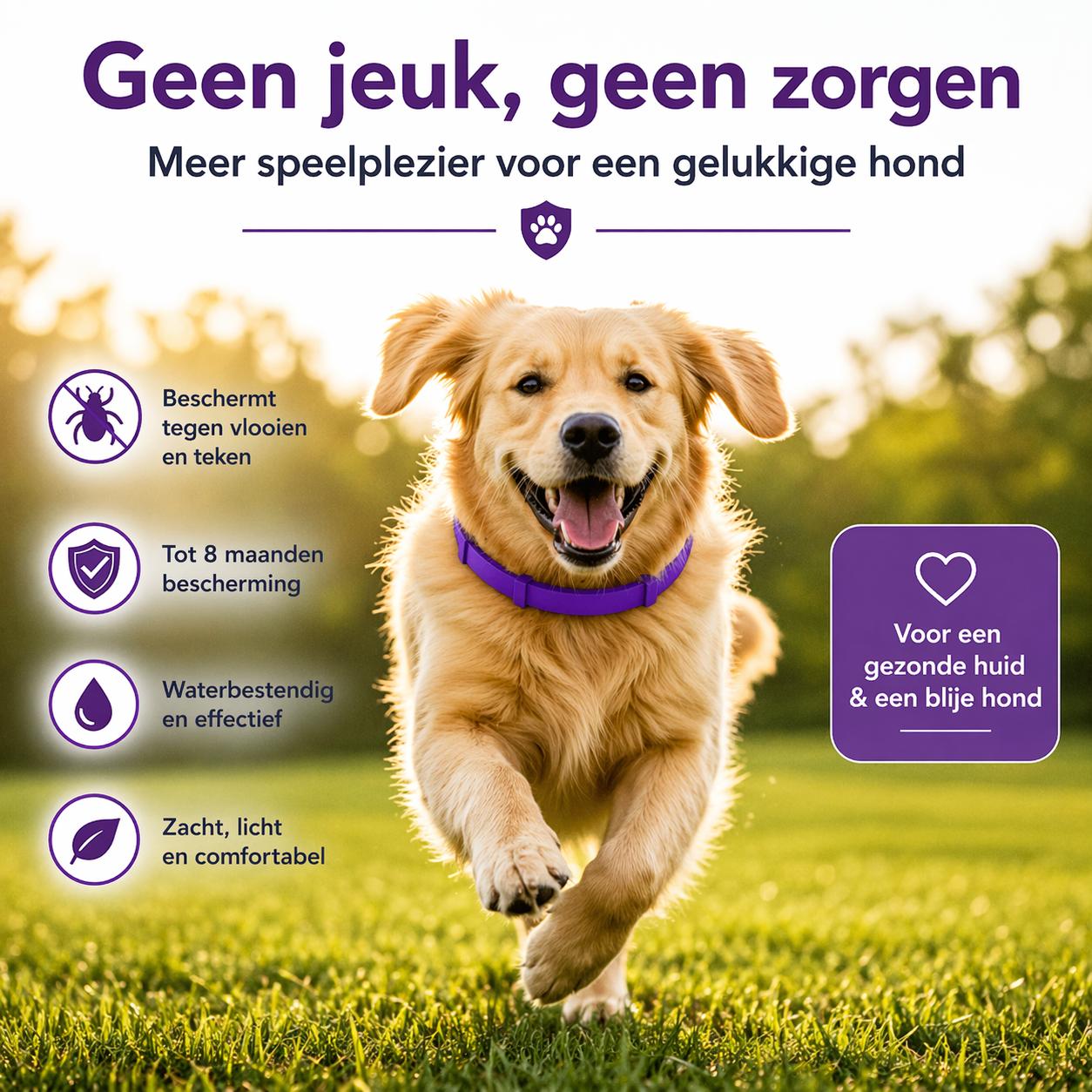Tekenband Hond